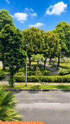 Changi Heights (D17), Terrace #552879661